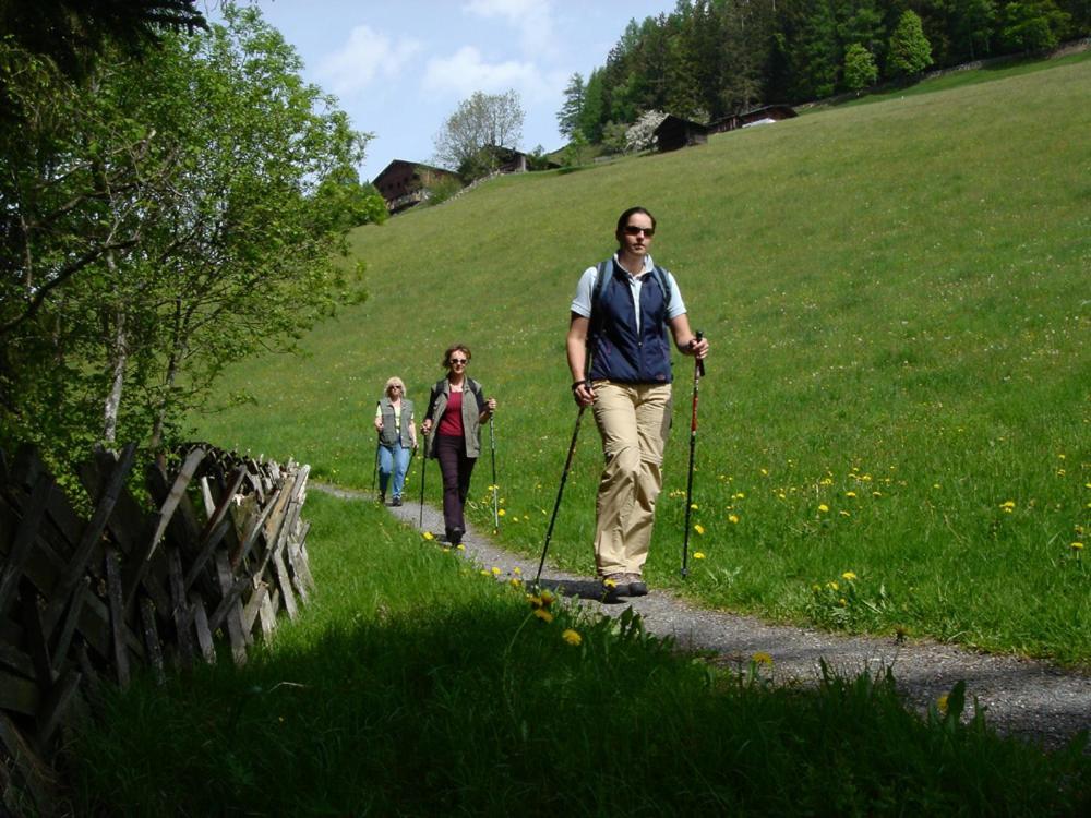 Hotel Gasthof Kroell - Inkl Nationalpark-Karte, 1 X Grossglockner Hochalpenstrasse Kostenlos, 1X Gerlos Alpenstrasse Kostenlos, Krimmler Wasserfaelle Kostenlos, Verschiedene Bergbahnen Kostenlos, Badesee Kostenlos, Bus & Zug Kostenlos, Genusskueche, ニーダーンジル エクステリア 写真