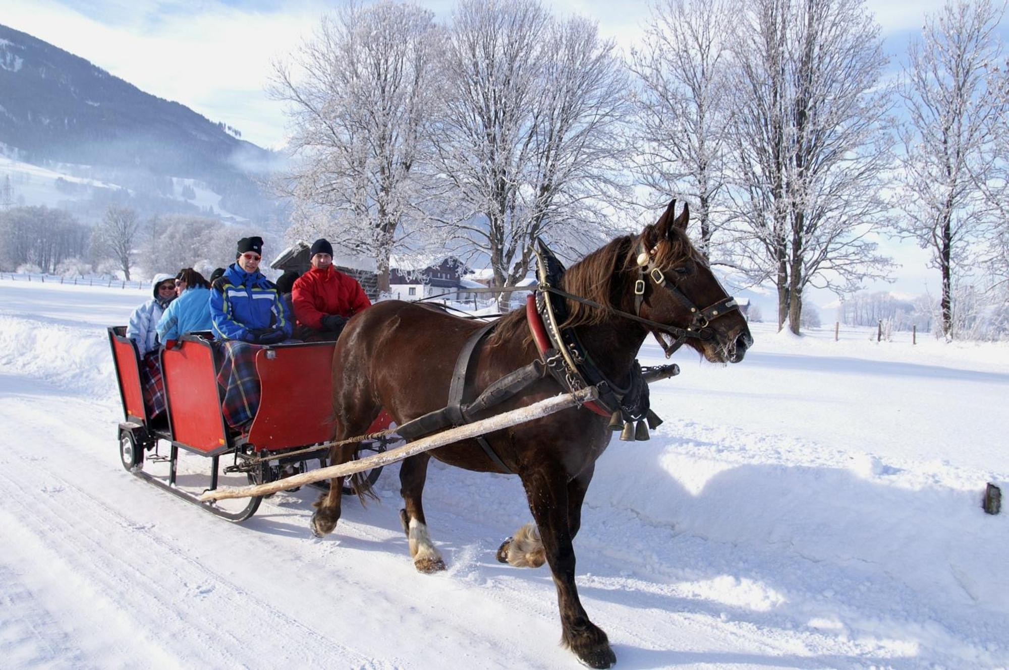 Hotel Gasthof Kroell - Inkl Nationalpark-Karte, 1 X Grossglockner Hochalpenstrasse Kostenlos, 1X Gerlos Alpenstrasse Kostenlos, Krimmler Wasserfaelle Kostenlos, Verschiedene Bergbahnen Kostenlos, Badesee Kostenlos, Bus & Zug Kostenlos, Genusskueche, ニーダーンジル エクステリア 写真