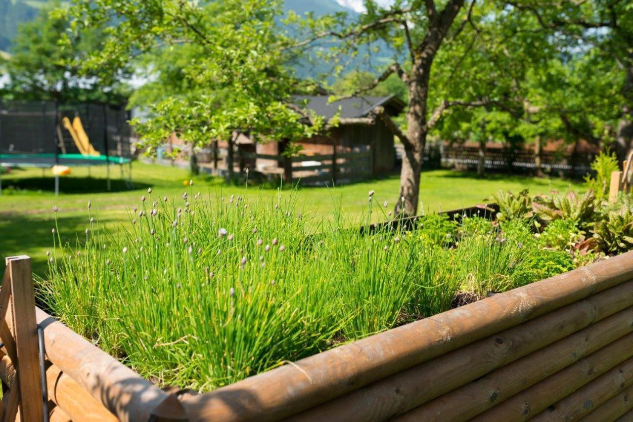Hotel Gasthof Kroell - Inkl Nationalpark-Karte, 1 X Grossglockner Hochalpenstrasse Kostenlos, 1X Gerlos Alpenstrasse Kostenlos, Krimmler Wasserfaelle Kostenlos, Verschiedene Bergbahnen Kostenlos, Badesee Kostenlos, Bus & Zug Kostenlos, Genusskueche, ニーダーンジル エクステリア 写真